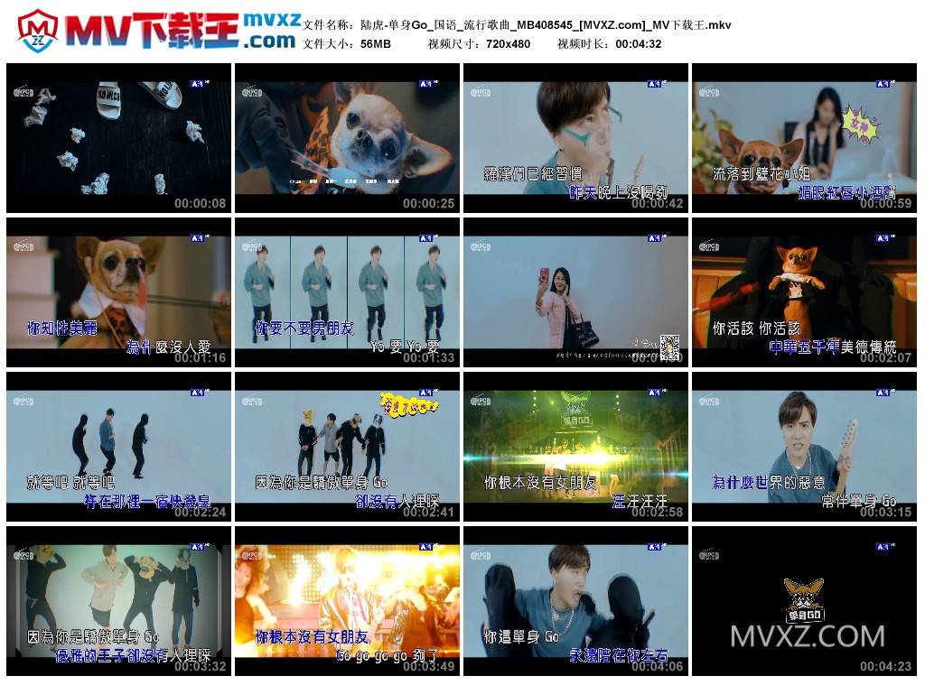 陆虎-单身Go_国语_流行歌曲_MB408545